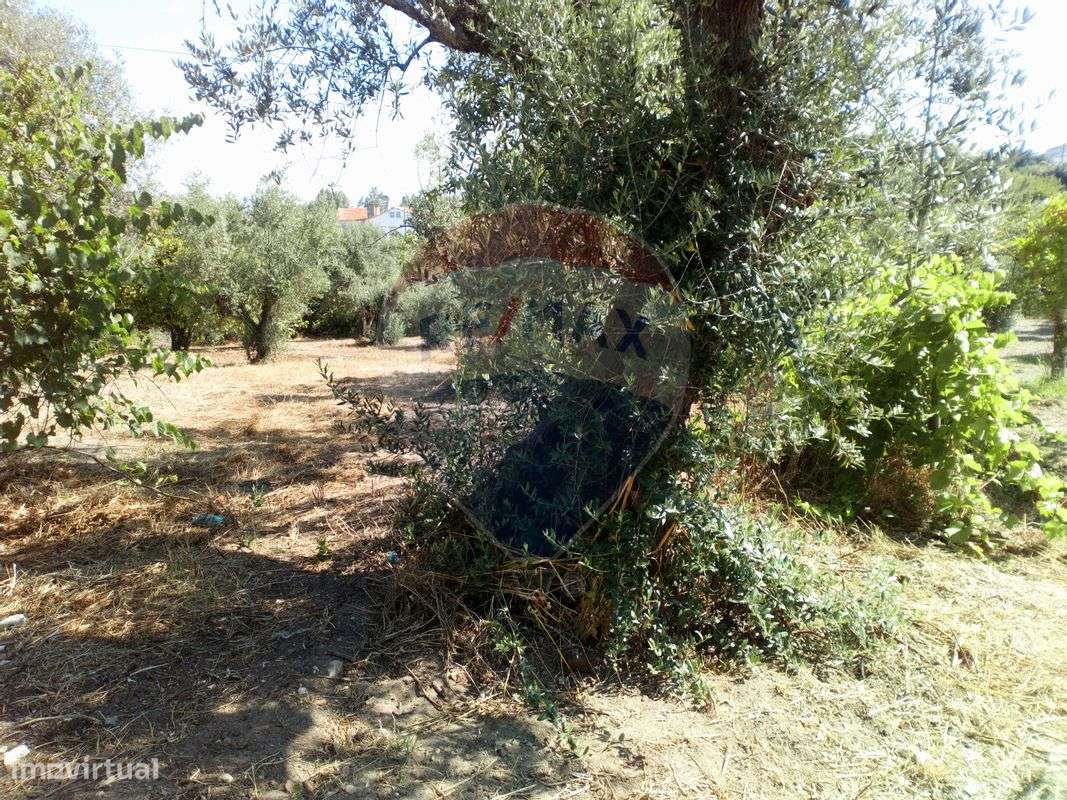 Terreno  para venda - Grande imagem: 2/5