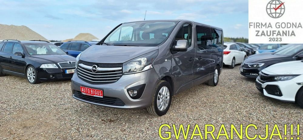 Opel Vivaro II (2014-2019) 2019