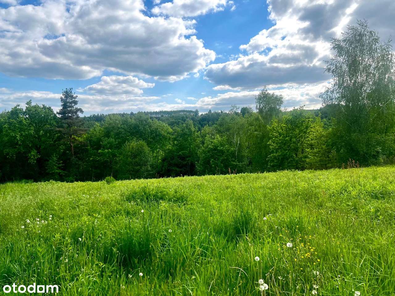 Widokowa działka z pozwoleniem na budowę, gm. Zakliczyn-8