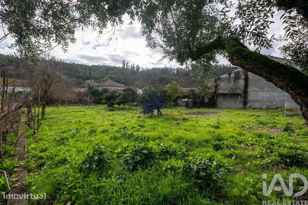 Casa / Villa T3 em Penacova de 108,4 m2 - Grande imagem: 4/28