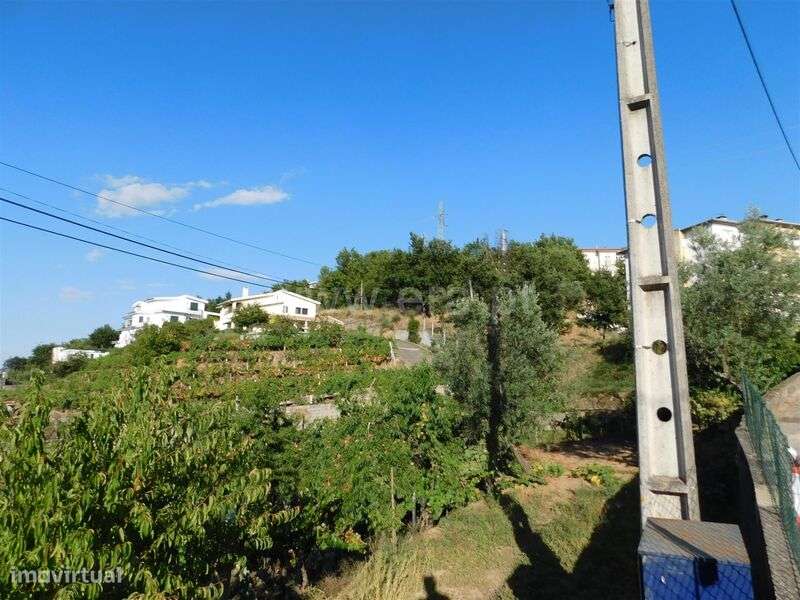 Terreno / Seia, Seia - Grande imagem: 2/11