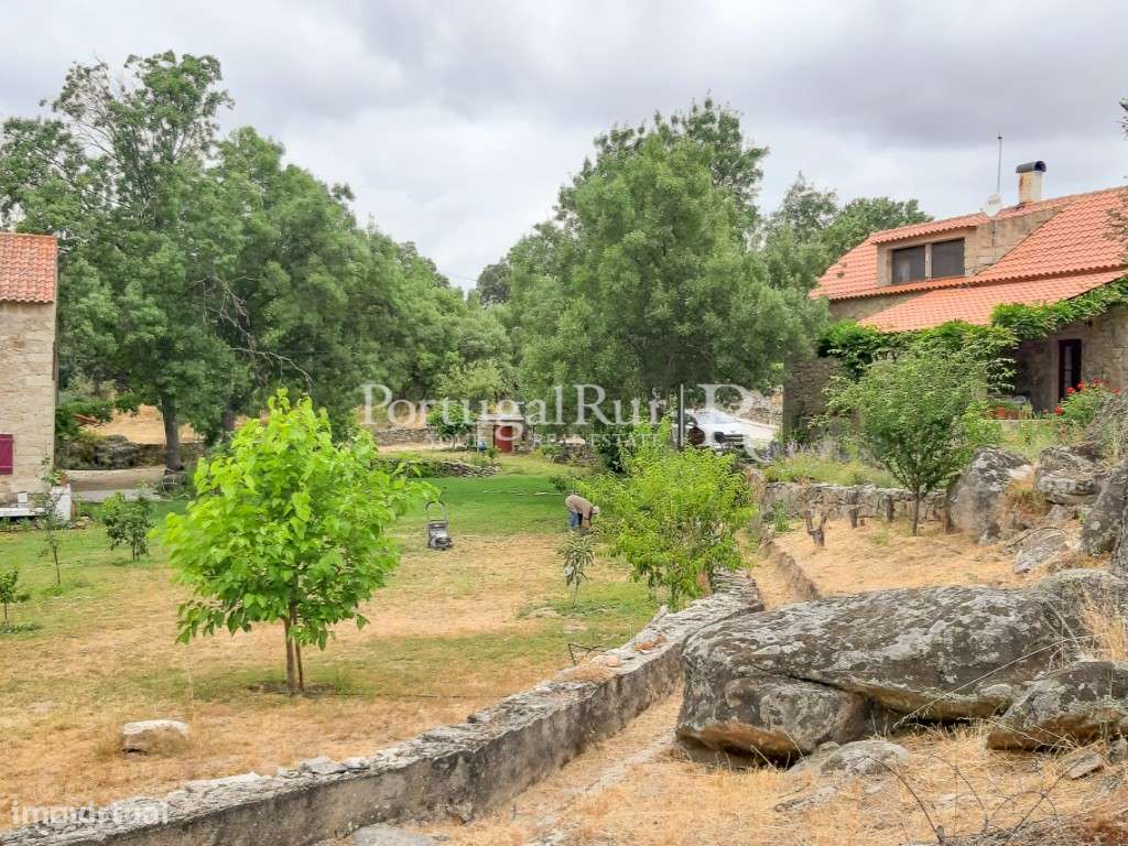 Quinta Rural 8.000 m2 - 2 Casas Habitáveis - confina com Ribeira-21