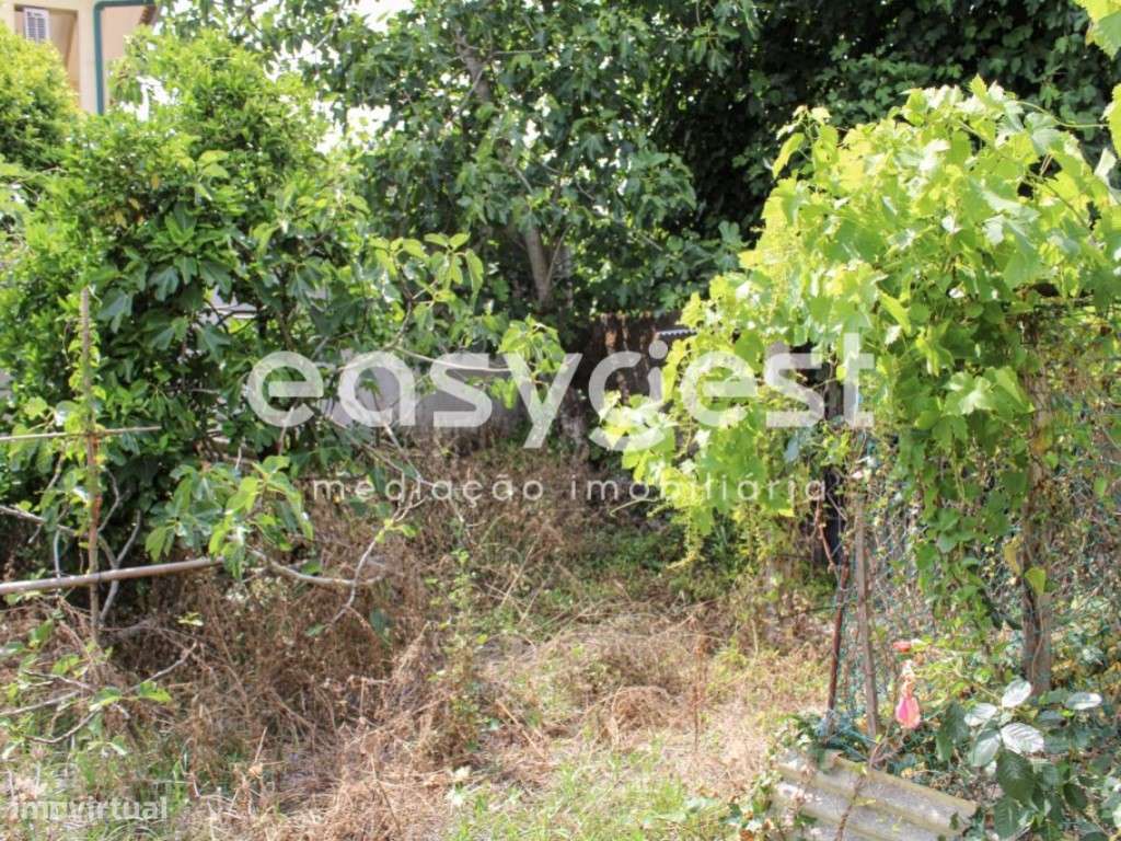 Moradia Geminada traça antiga para remodelar em São Salvador, Ílhavo - Grande imagem: 5/35