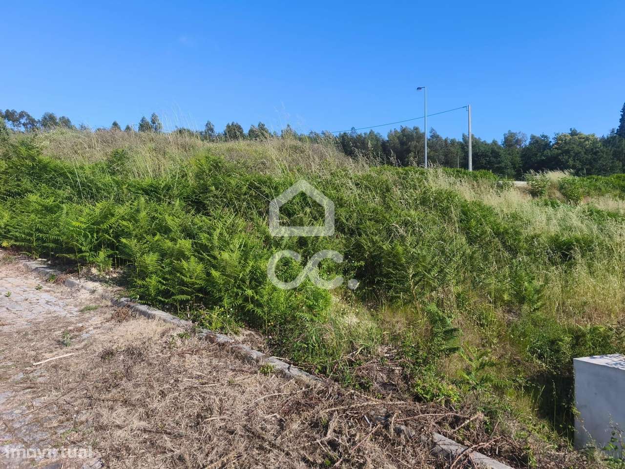 Lote em Ruivães - Vila Nova de Famalicão-5