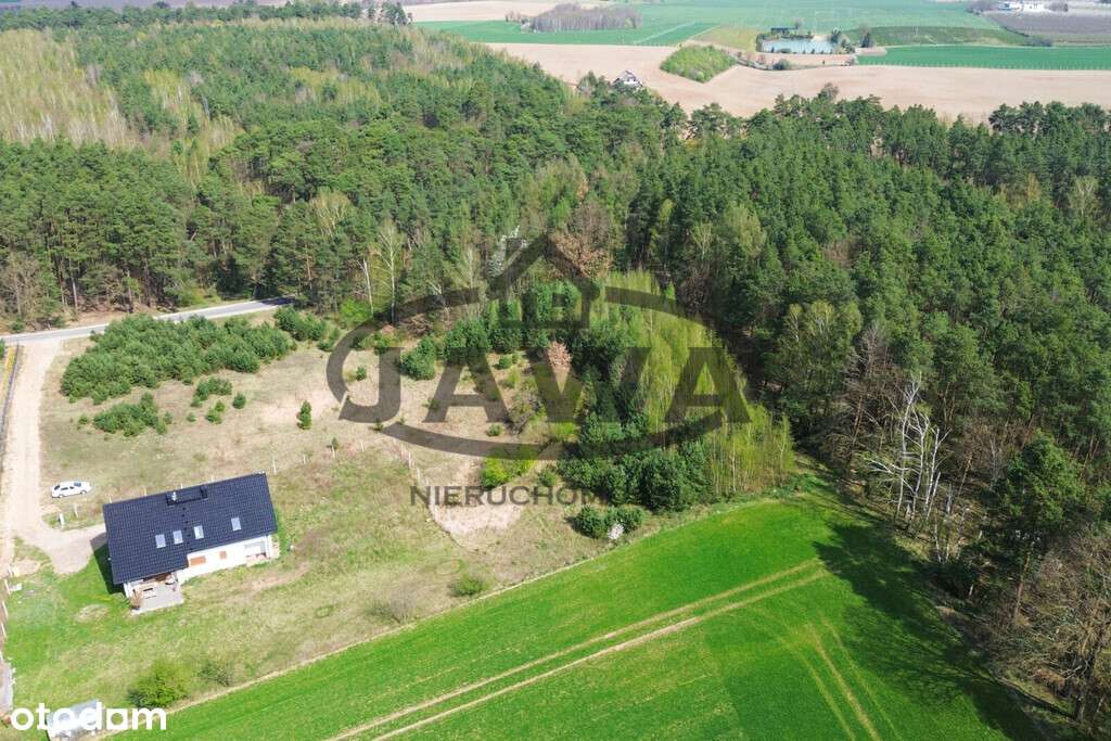 Mochle, gm. Sicienko / 4400m2 / ściana lasu - Pełny obrazek: 4/10