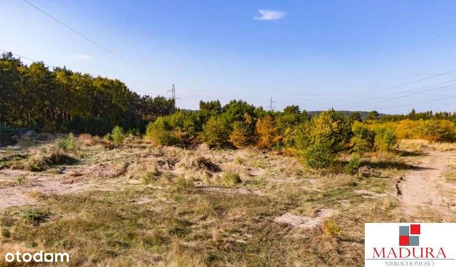 Dargobądz działka na działalność turystyczną, nied - Pełny obrazek: 4/4