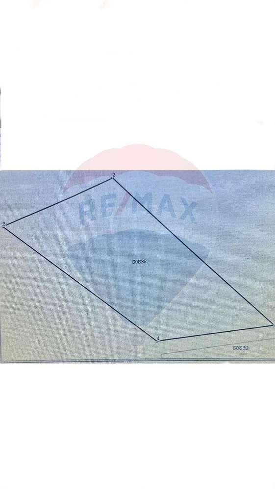 Oferta de Teren extravilan 8,043mp Berevoesti - Imagine principală: 4/4