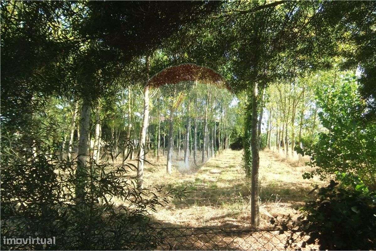 Terreno  para venda - Grande imagem: 5/15