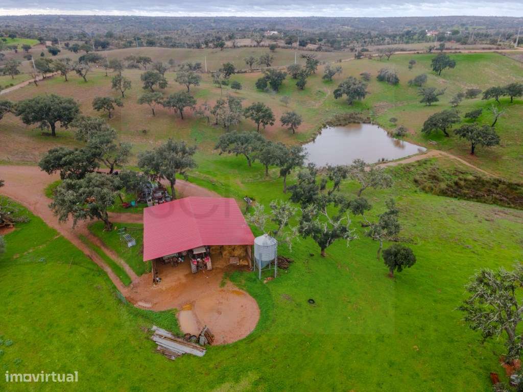 Fantástica quinta típica Alentejana em Vila Verde de Ficalho-9