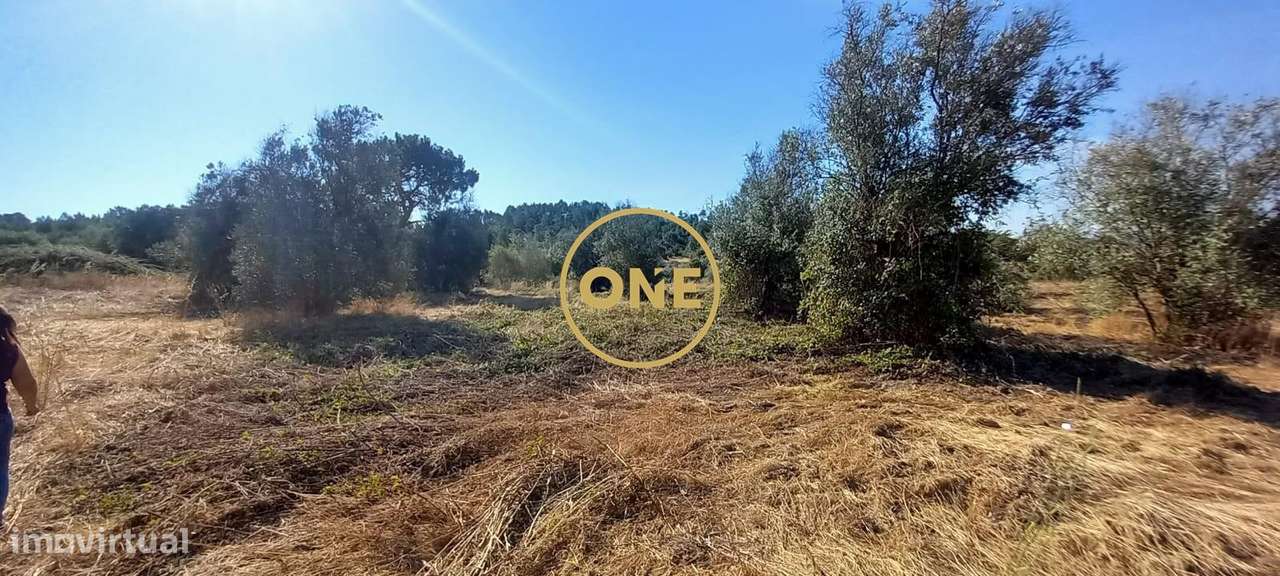 Terreno com 21.960 m2 e viabilidade construtiva | Vila Nova da Barquin-9