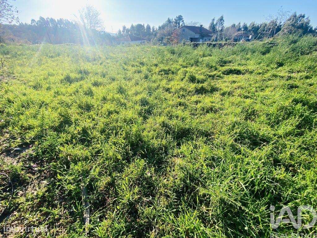 Terreno Agrícola em Sopo de 260,00 m2 - Grande imagem: 3/9