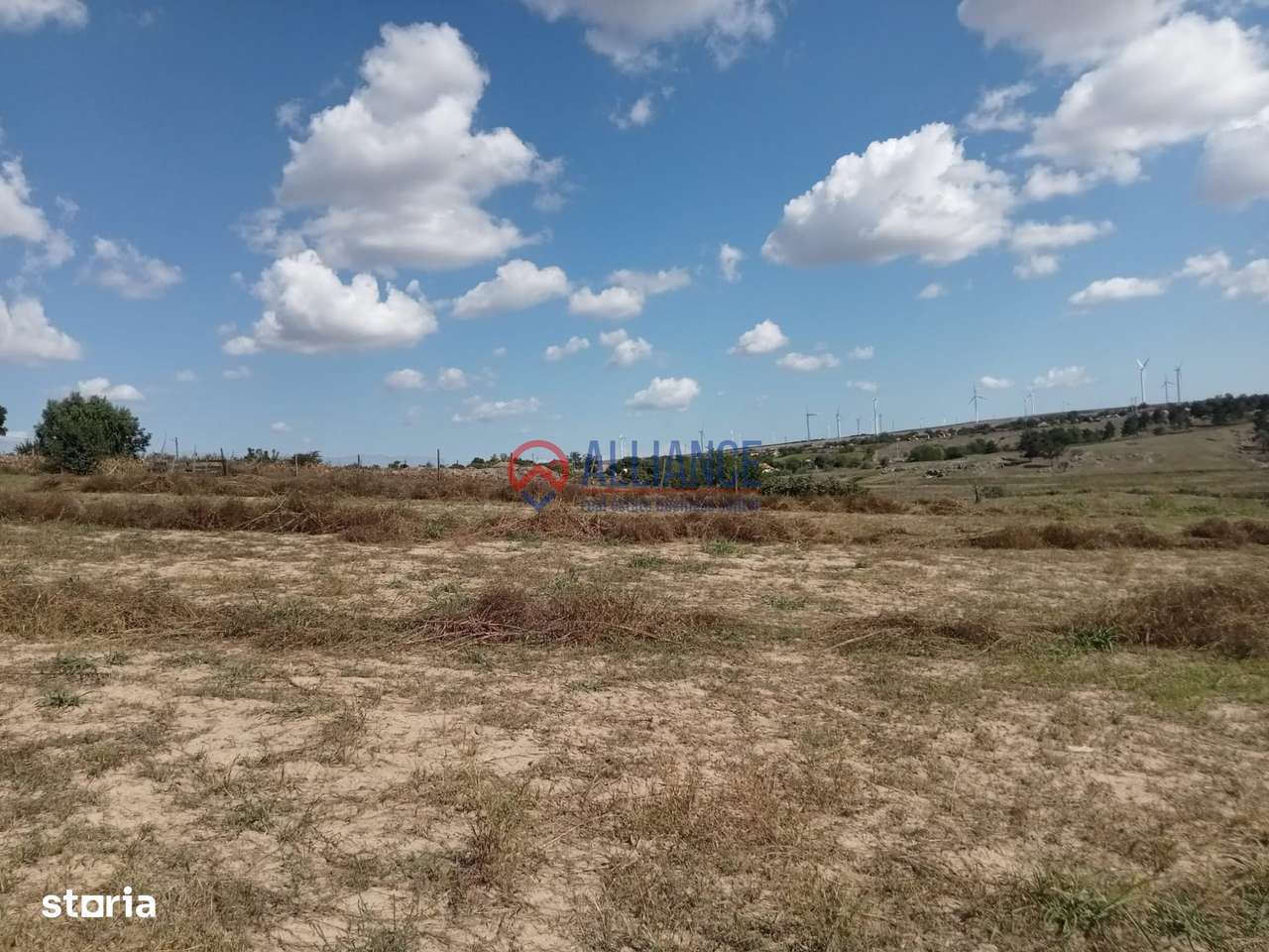 Teren intravilan 4.000 mp - Gradina, jud. Constanta-4