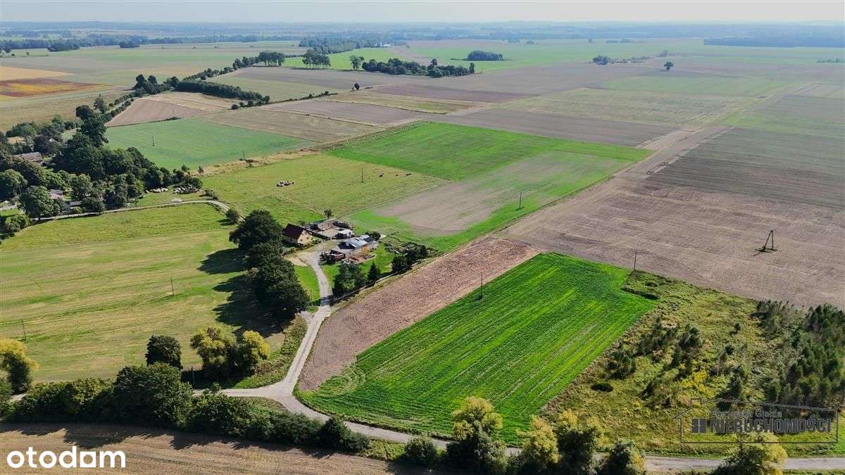 Bielikowo - działka budowlana około 20 minut od Ba-14