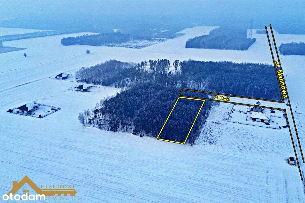 Działka mieszkaniowa 12,4 ar – Przytuły Stare-0