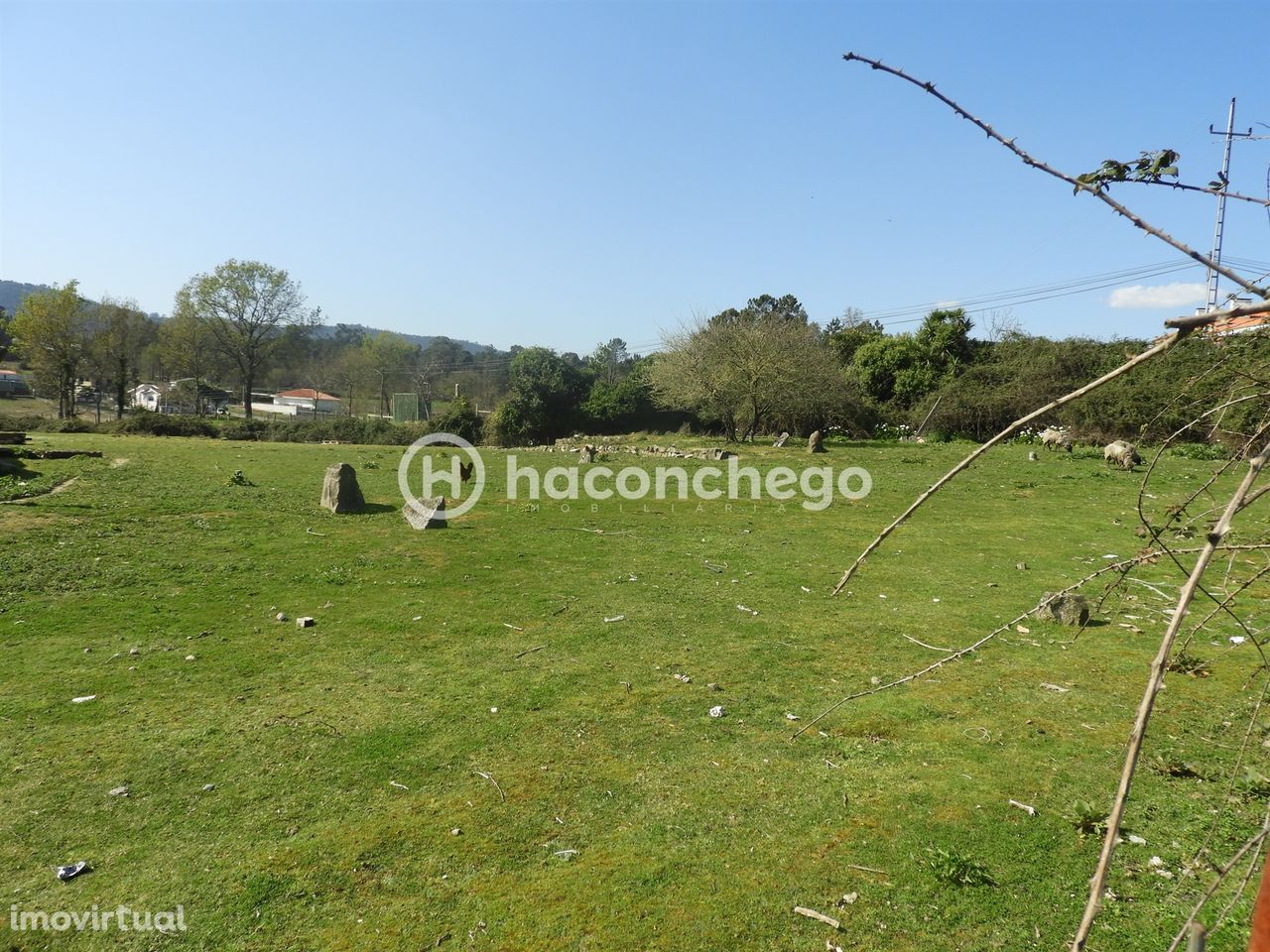 Terreno  Venda em Ucha,Barcelos