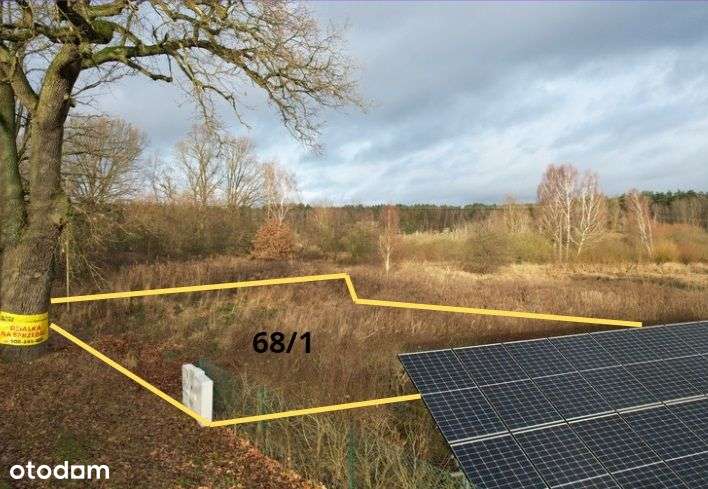 Budno działka sprzedaż 1545 m2 NOWA CENA Goleniów - Pełny obrazek: 3/4