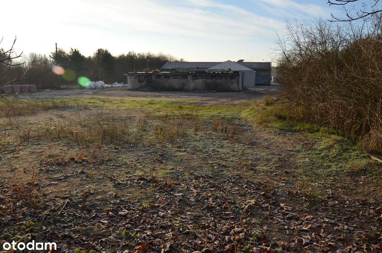 Działka przemysłowa utwardzona, hala, magazyn, plac składowy - Pełny obrazek: 3/10