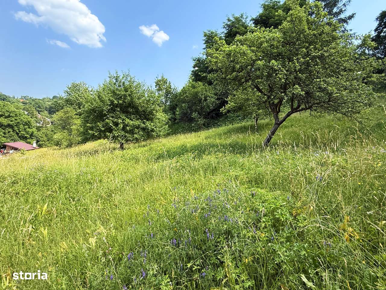 Teren intravilan 2330 mp, comuna Bran, sat Sohodol-3