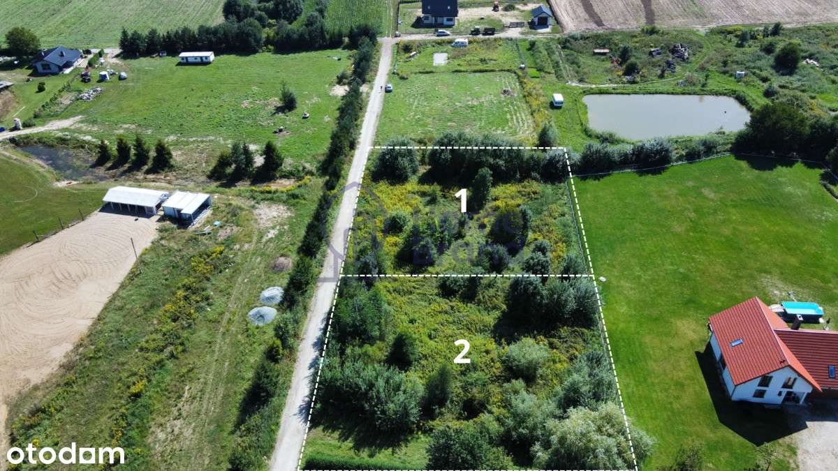 15 minut od Trzebnicy| 2 działki| Okazja - Pełny obrazek: 4/5