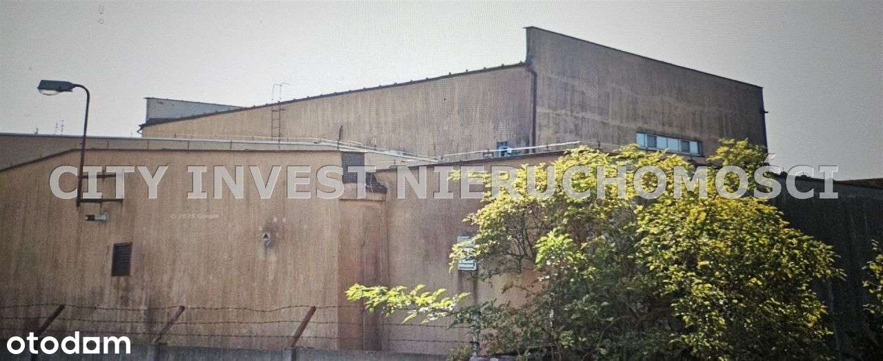 Lokal użytkowy, 2 100 m², Opalenica-3