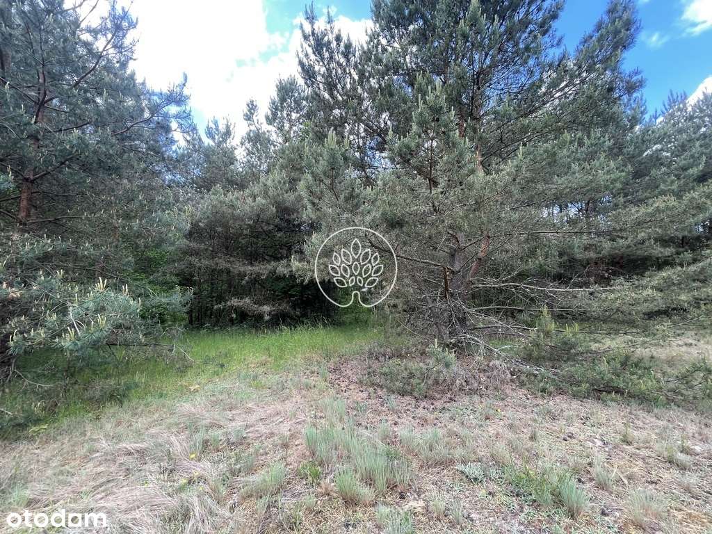 462/14150/OGS - Pełny obrazek: 4/5