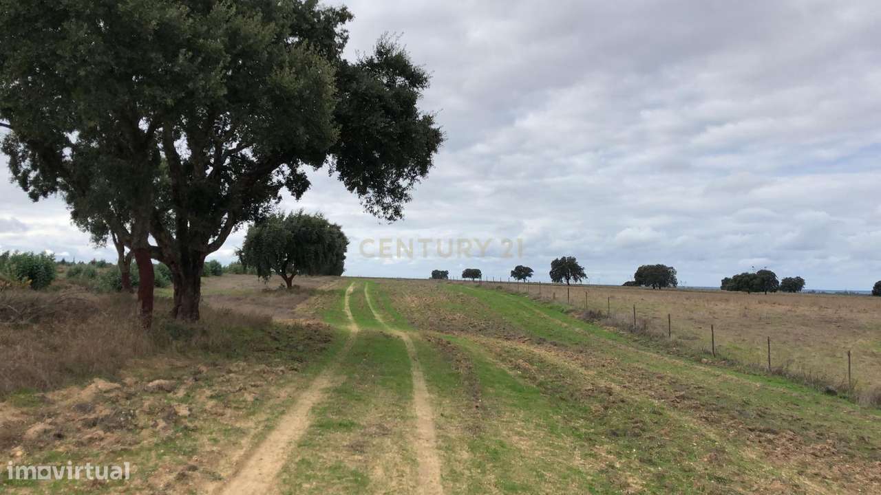 Terreno Rústico de Cultura Arvense     ...Possível Exploração Foto-Vol - Grande imagem: 2/10