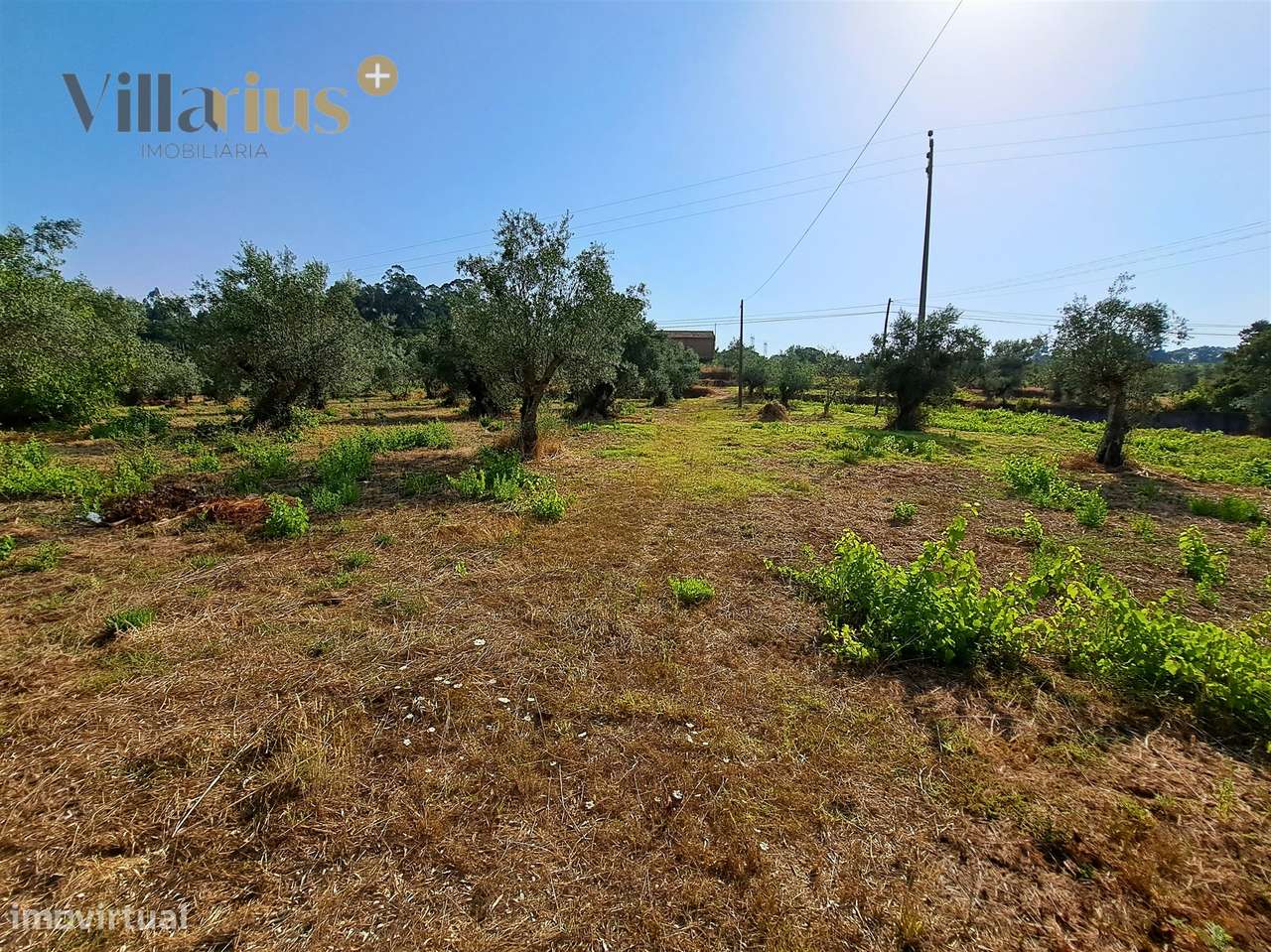 Terreno 11.513 m² com Projeto Aprovado — Tomar-23