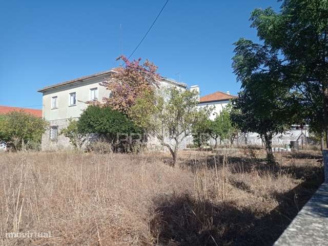 Casa Apalaçada, Avis - Grande imagem: 4/26