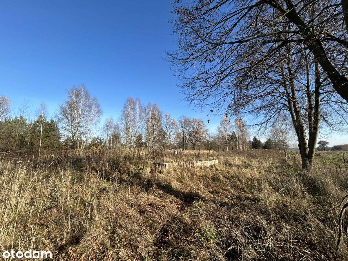 Działka z gotowym projektem domu Siennica 2401m2-8