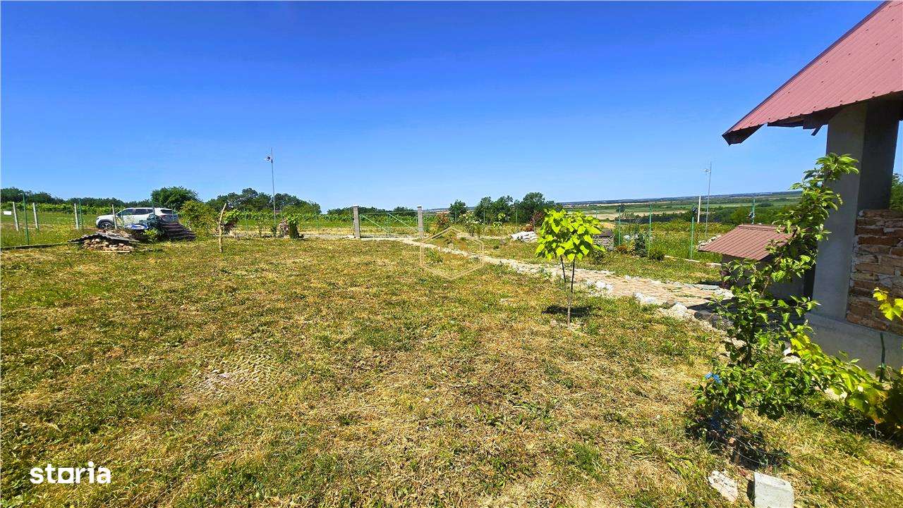 VIDEO | Loc de casa, cabana sau turism - Ardud | Vedere spre Satu Mare-14