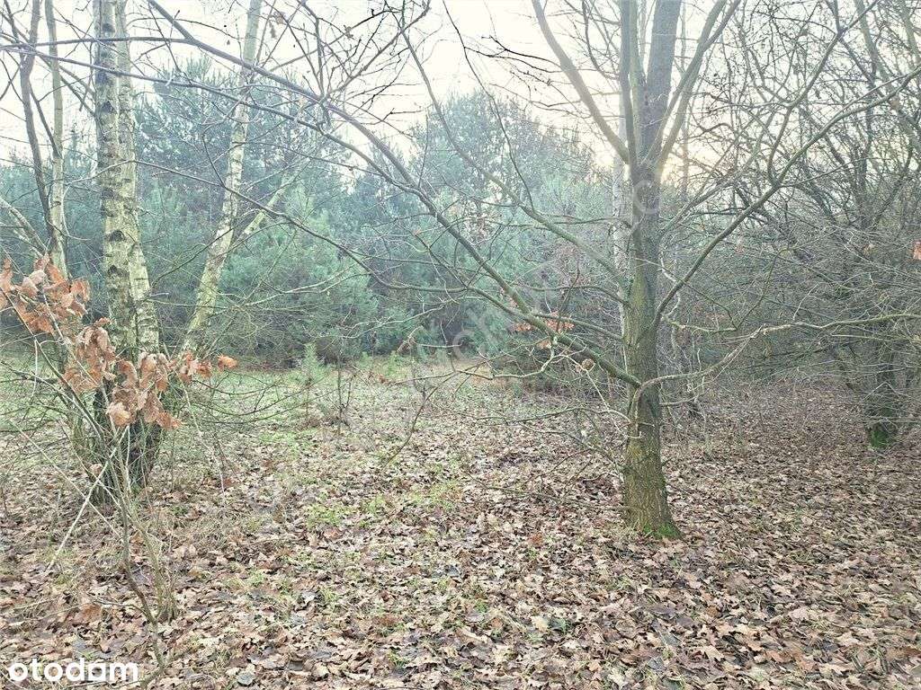Działka budowlana na uboczu...dobry dojazd... - Pełny obrazek: 5/15