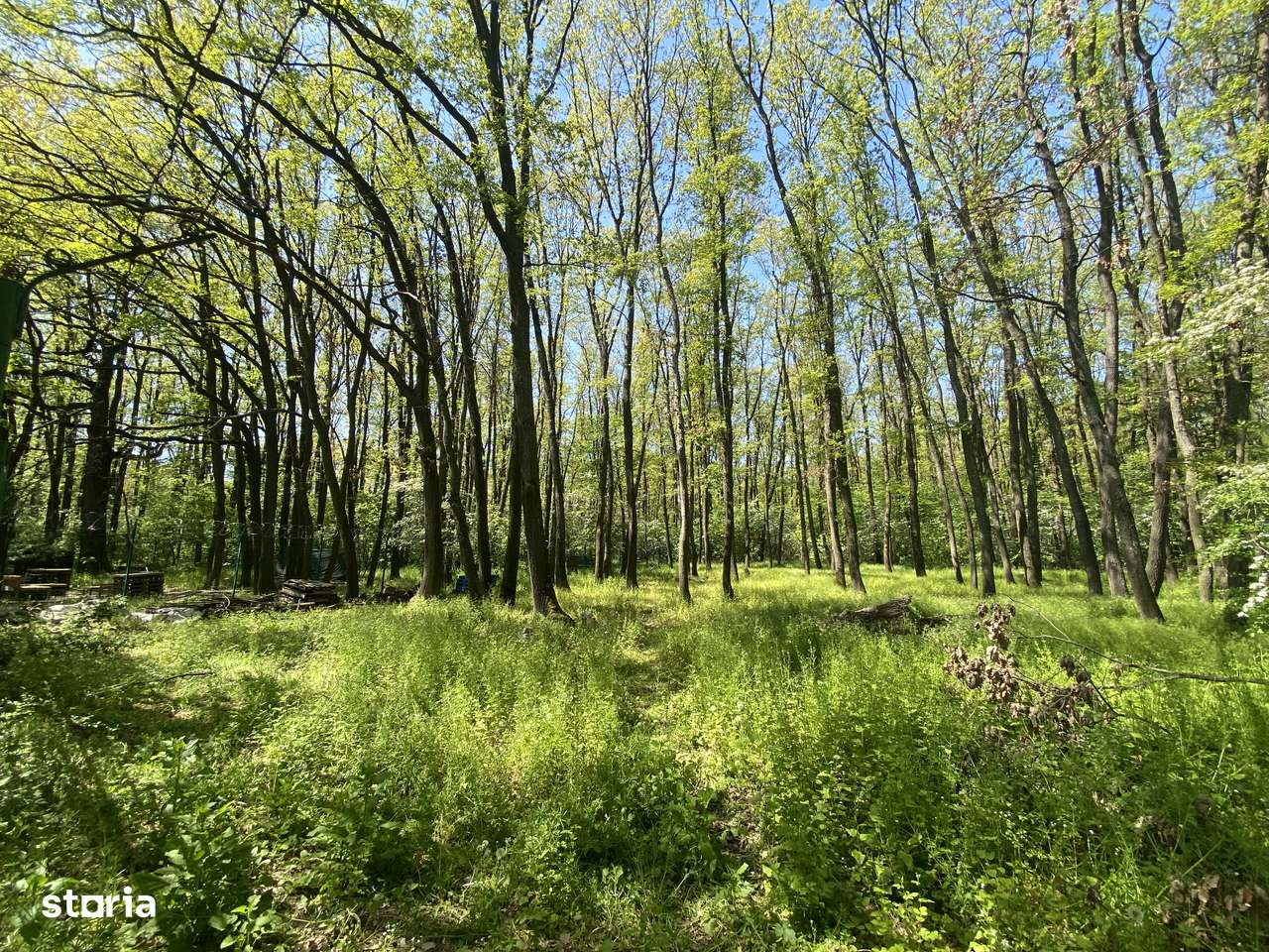 Resedinta 5 camere, cu Padure Privata, Paradisul Verde, teren 1735mp - Imagine principală: 4/20