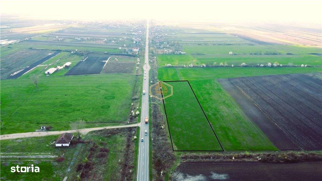 Teren cu front 209 m la DN19 | Logistica - Servicii | 13 km Satu Mare - Imagine principală: 5/7