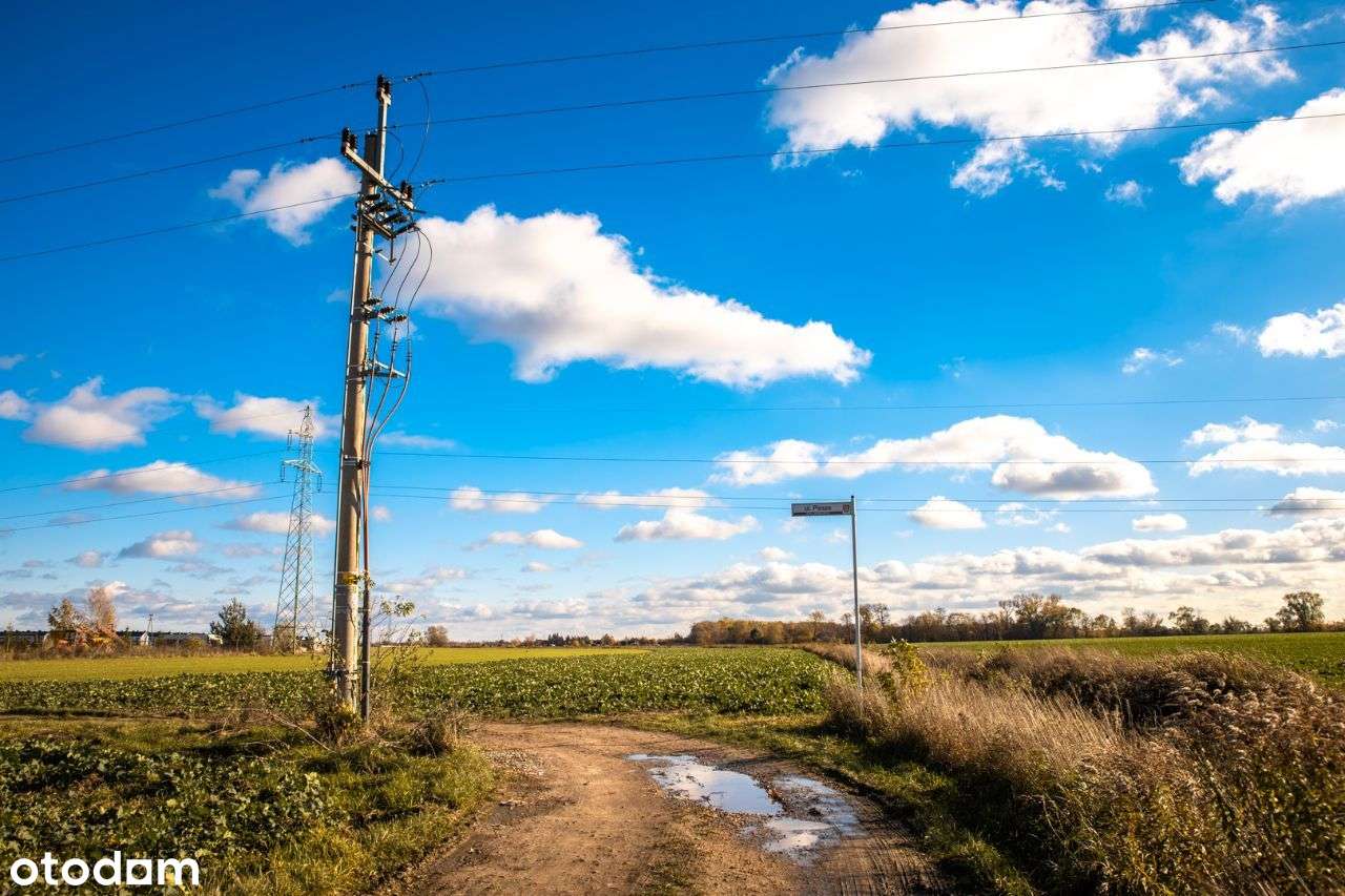 Zalasewo, ulica Spacerowa Nowy podział-11