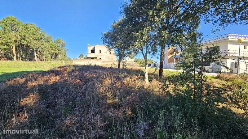 Lote Terreno Nadadouro - Grande imagem: 5/5