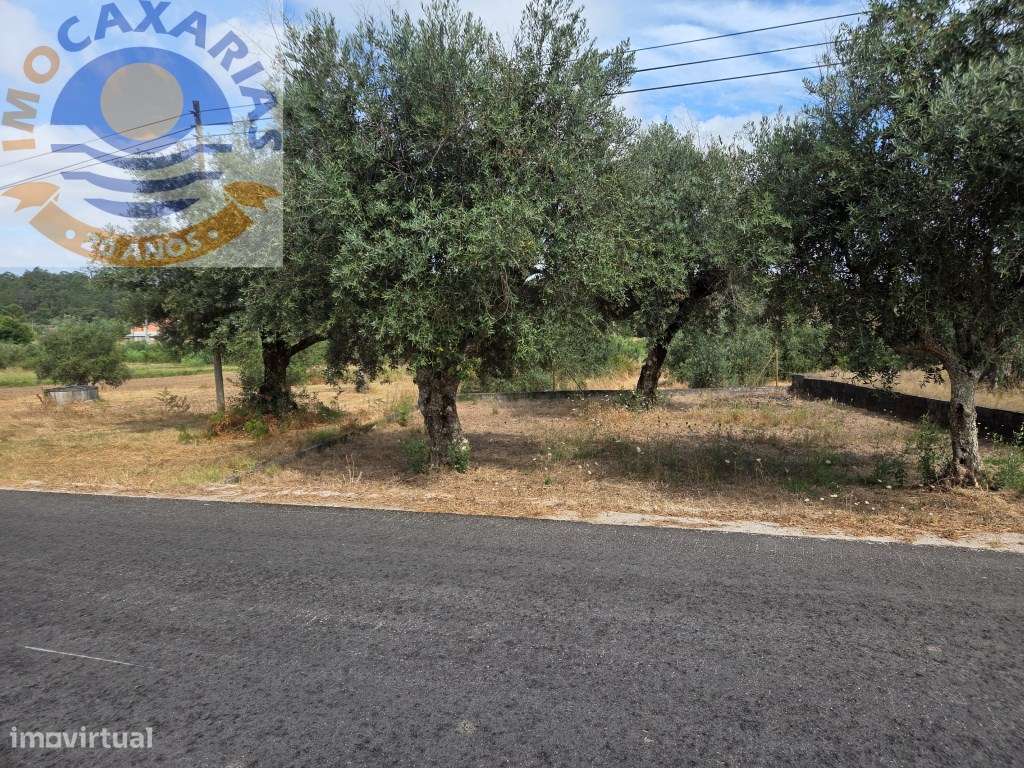 Moradia T3 Mobilada com Sótão Amplo - Marta, Lameirinha-32