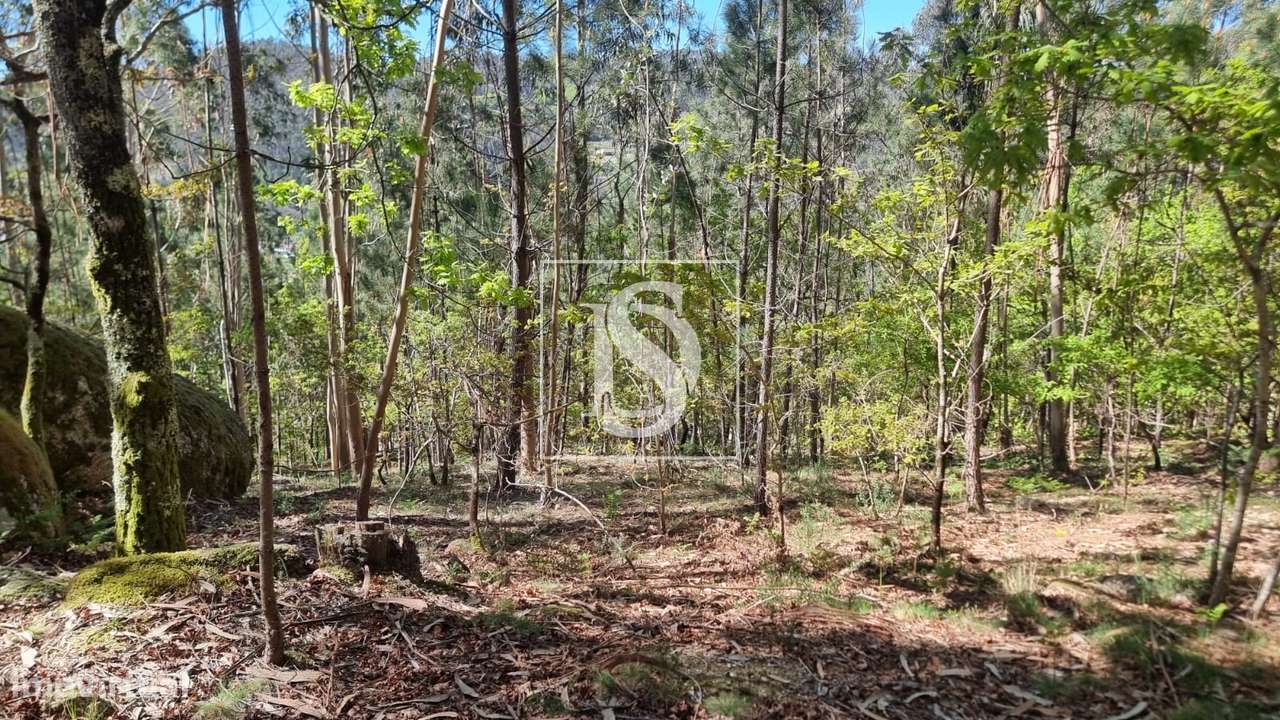 Terreno  Venda em Mosteiro,Vieira do Minho-11