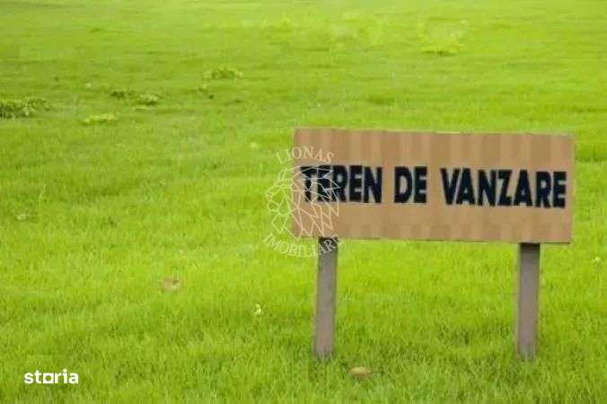 Teren 17898 mp + casa 58 mp-ideal fonduri europeane-Ilva Mica - Imagine principală: 3/3