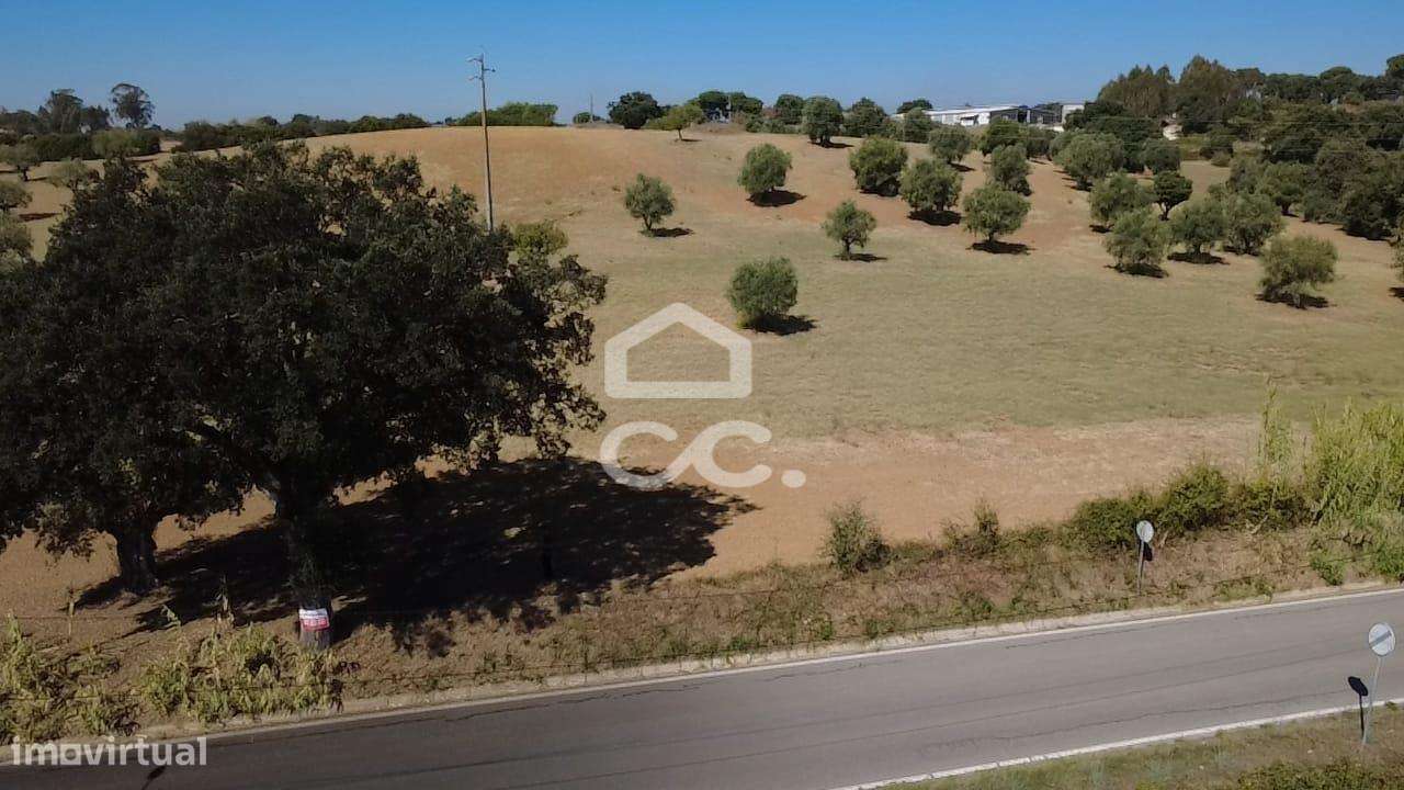 Terreno Rústico com 25.240 m² em Ferras, Gavata, Torres Novas – RAN-43