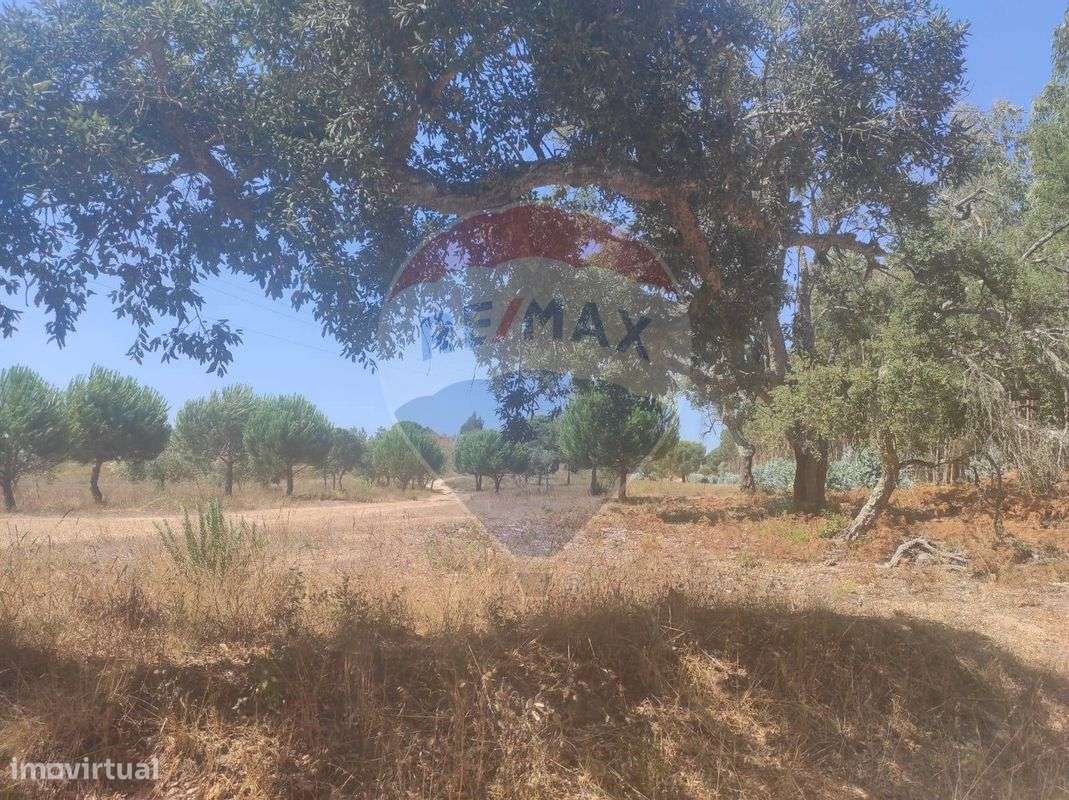 Terreno  para venda - Grande imagem: 4/5