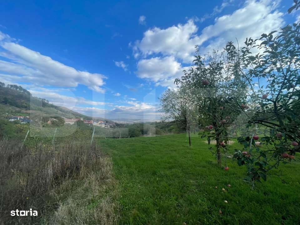 Teren Intravilan Paclisa, 1785mp - Imagine principală: 4/4