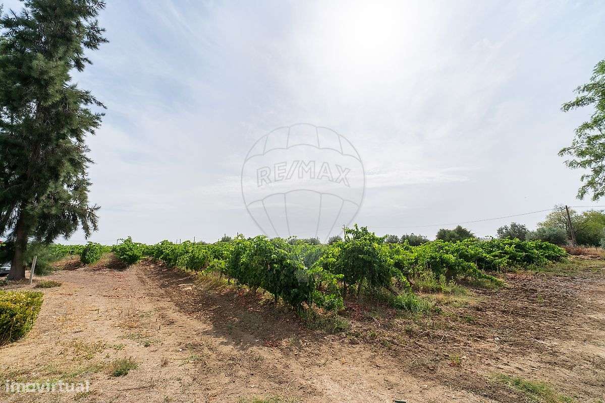 Quinta T8 para venda-46