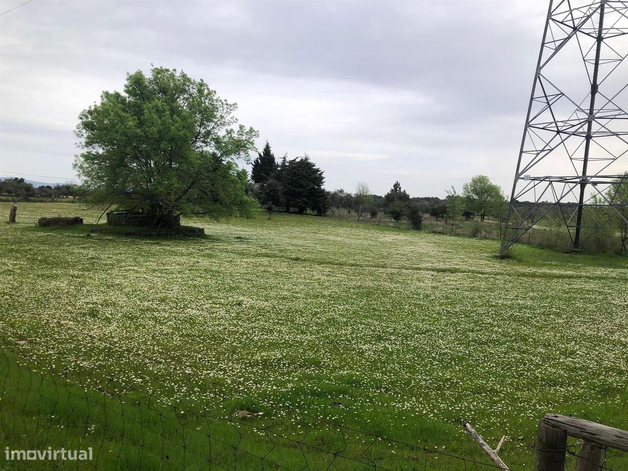 Terreno - Grande imagem: 4/8