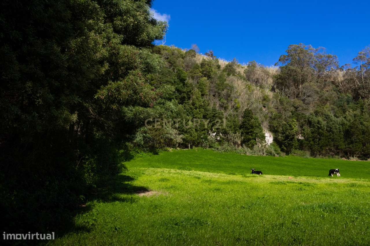 Terreno urbano para construção na Caloura, Lagoa - Vista Mar-27