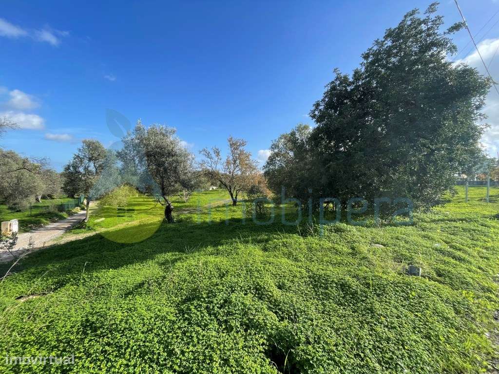 Loteamento com Projeto Aprovado em Moncarapacho - Grande imagem: 5/12