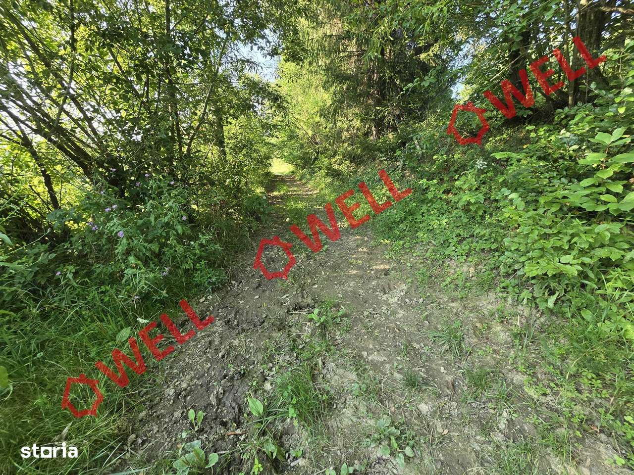 De vânzare teren extravilan în Întorsura Buzăului - Imagine principală: 3/7