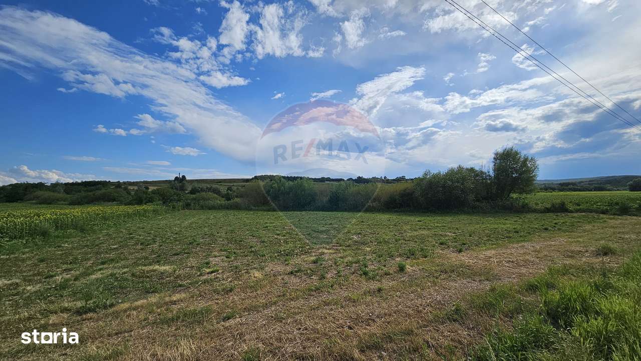 Teren extravilan 12000 mp- Pădureni-Șendriceni, Botoșani - Imagine principală: 3/4