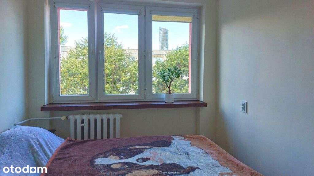 Sudecka-46m2-Rozkład-3pok-Balkon-Miejskie-piwnica. - Pełny obrazek: 4/7