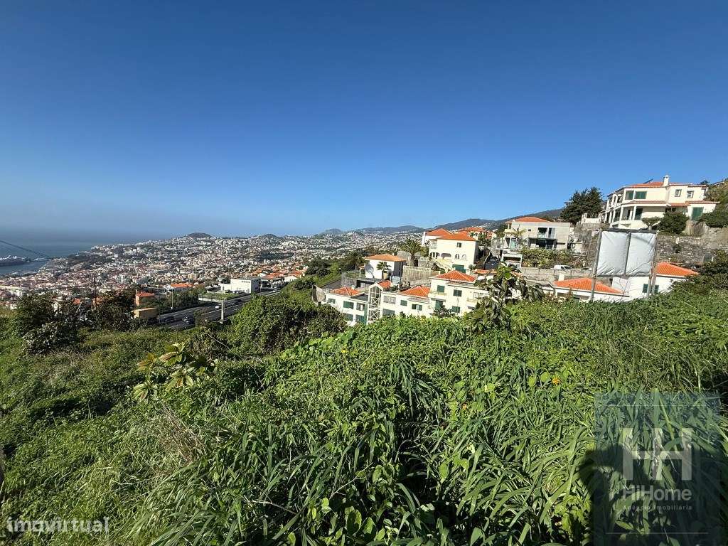 Terreno com 2050 m2 no Jardim Botânico - Vista Mar e Porto do Funchal - Grande imagem: 5/14