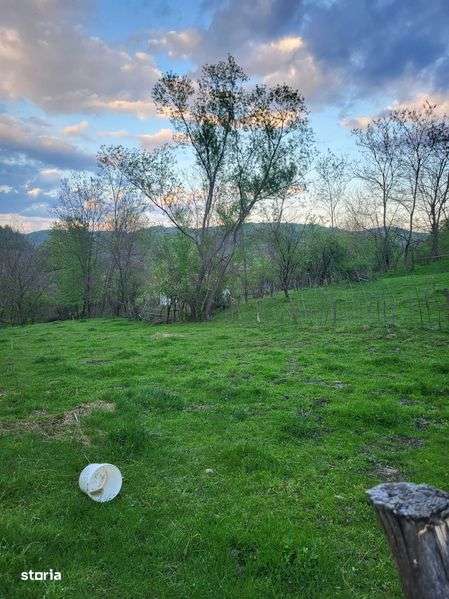 Teren intravilan Provita de sus, Prahova 1500 mp - Imagine principală: 4/5